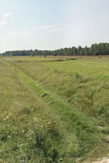 działka na sprzedaż 11604m2 działka Rusinów, Rusinów, Brogowa