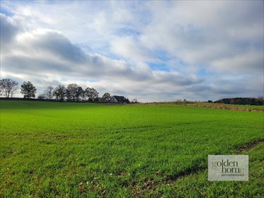 działka na sprzedaż 2555m2 działka Grzebienisko, Świerkowa