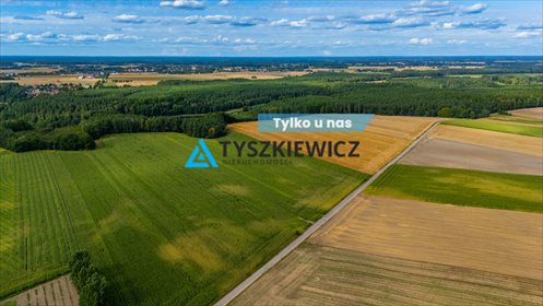 działka na sprzedaż 55440m2 działka Lisewo