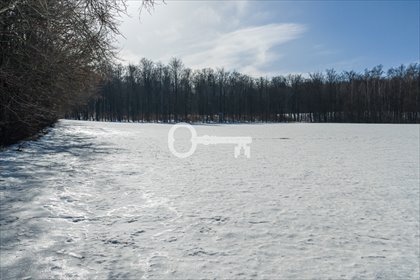 działka na sprzedaż 3000m2 działka Czapielsk, Jarzębinowa