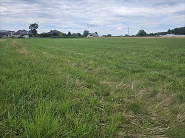działka na sprzedaż 1027m2 działka Orzesze, Zgoń