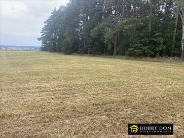 Do sprzedania działka 3312 m² w otulinie lasu, Grabowo działka Świdry-Dobrzyce