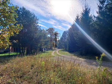 Działka 1000 m² w Rucianem-Nidzie - cisza i jezioro działka Ruciane-Nida, Kowalik
