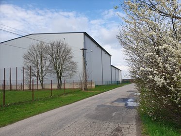 lokal użytkowy na sprzedaż 2907m2 lokal użytkowy Jawor Solecki