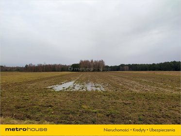 Działka rolna na sprzedaż Chrząstawa, Widawa 23 994m2 Foto 3