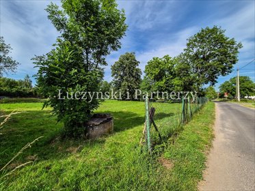 Na sprzedaż działka 1600 m² w Płóczkach Dolnych działka Płóczki Dolne