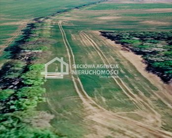 Na sprzedaż działka rolna 3000 m² w Bychowie, z mediami i rekreacyjnym potencjałem działka Bychowo