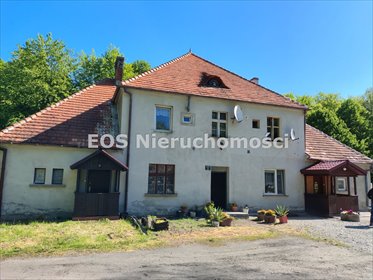 Przestronne 3-pokojowe mieszkanie w spokojnej okolicy mieszkanie Rogóźno