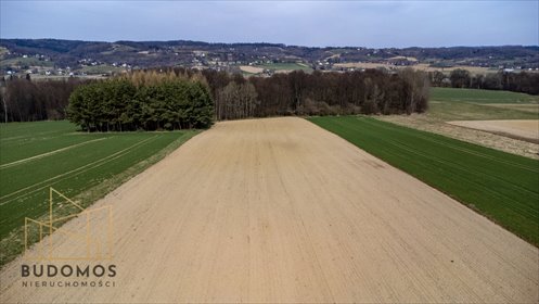 Widokowa działka budowlana 1,06 ha z wodą i gazem działka Buchcice