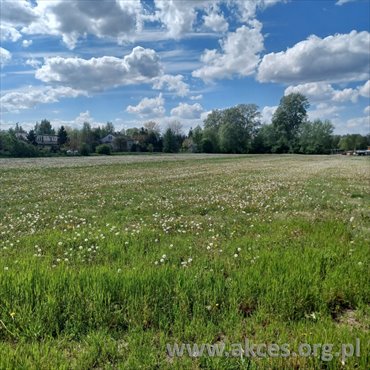 działka na sprzedaż 16600m2 działka Warpęsy