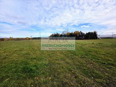 Działka 1800 m² z mediami - inwestycja i działalność działka Książenice
