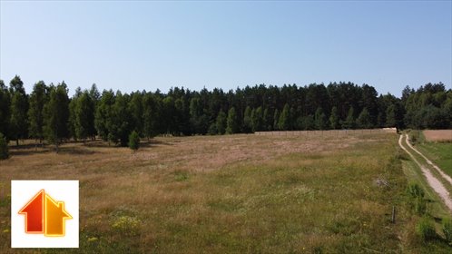Działka budowlana 3202 m² z mediami, las, cisza, Lipowy Most działka Szudziałowo