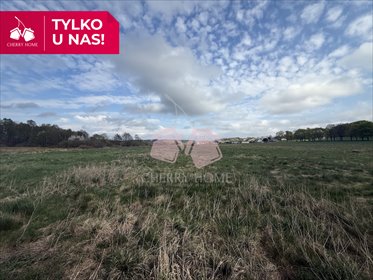 działka na sprzedaż 14700m2 działka Mierzyno