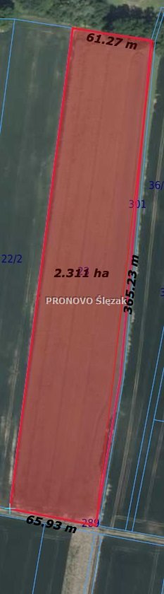 działka na sprzedaż 24000m2 działka Oborniki Śląskie, Wilczyn