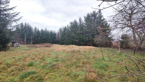 dom na sprzedaż 250m2 dom Przybiernów, Bolesława Chrobrego