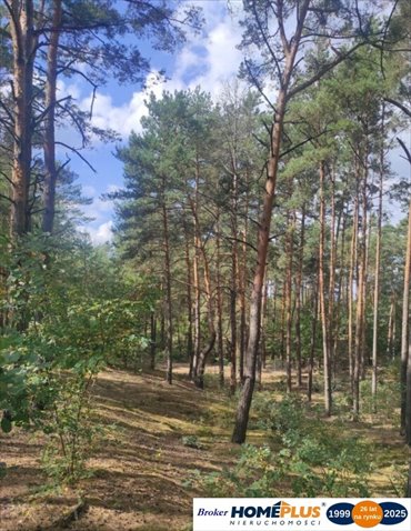 działka na sprzedaż 2118m2 działka Łosie