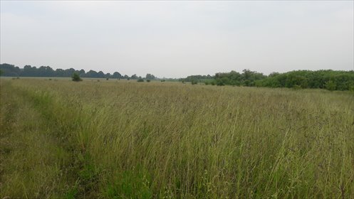 działka na sprzedaż 6080m2 działka Jarosławiec