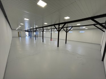 Lokal użytkowy na wynajem Staszów, al. Tadeusza Kościuszki 350m2 Foto 5