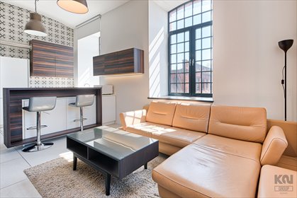 Ekskluzywny loft 3 pok. z klimatyzacją w centrum Łodzi mieszkanie Łódź, Śródmieście, Tymienieckiego