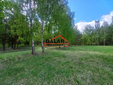 działka na sprzedaż 1650m2 działka Korzeniówka