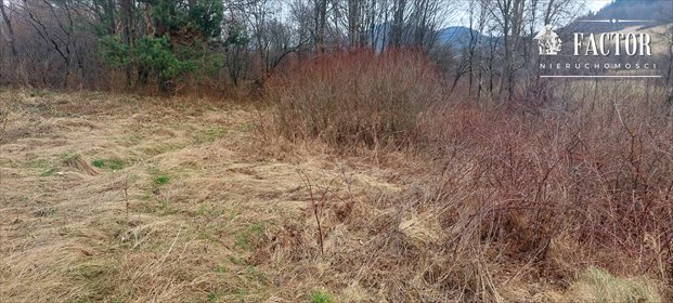 działka na sprzedaż 10000m2 działka Uście Gorlickie