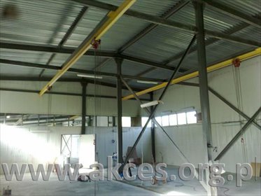 Zapraszam do obejrzenia hali produkcyjno-magazynowej z biurem 530 m² lokal użytkowy Reguły