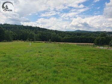 działka na sprzedaż 2400m2 działka Izdebnik