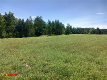 działka na sprzedaż 29100m2 działka Likiec