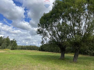 Działka 9500 m² z MPZP, las, prąd, woda, blisko Warszawy działka Pustelnik, Graniczna