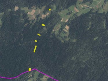 Na sprzedaż atrakcyjne działki leśne 7 764 m² w Podsarniu działka Podsarnie