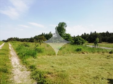 działka na sprzedaż 4728m2 działka Kwaśniów Dolny