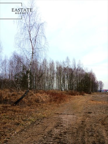 działka na sprzedaż 1000m2 działka Koryta