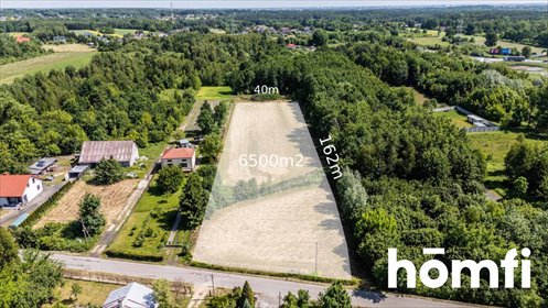 Działka 6500 m² pod inwestycję w Błoniu - lasy i tereny zielone działka Błonie