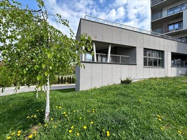 lokal użytkowy na sprzedaż 118m2 lokal użytkowy Rzeszów, Paderewskiego