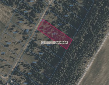 Działka 2000 m² w Gnojnie - malownicza okolica polecam działka Gnojno, Gnojno
