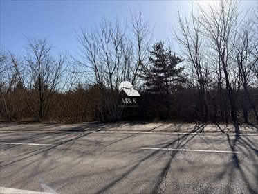 Działka 9809 m² pod zabudowę jednorodzinną - polecam! działka Izbica