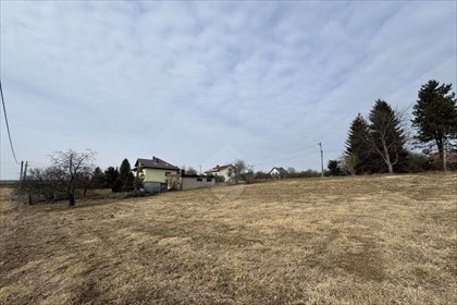 Działka budowlana na sprzedaż Grębynice, ul. Orlich Gniazd 1 650m2 Foto 4