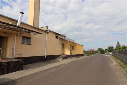 Lokal użytkowy na sprzedaż Krzywiń, Działkowa 464m2 Foto 2