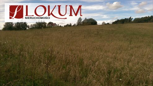 Działka budowlana na sprzedaż Sucha Huta 3 004m2 Foto 7