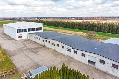 magazyn na wynajem 3000m2 magazyn Skierniewice, Mszczonowska