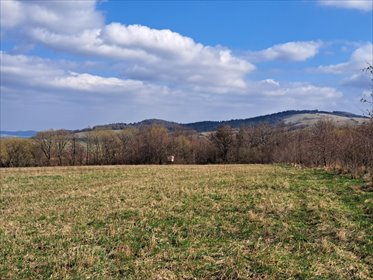 działka na sprzedaż 17019m2 działka Pielgrzymka