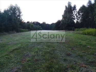 Działka rekreacyjna 3000 m² z prądem i MPZP. działka Arciechów