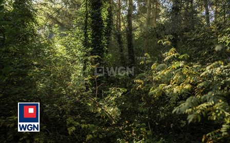 Do sprzedania działka 5000 m² w Topoli-Osiedlu z lasem działka Przygodzice, Topola Osiedle, Łąkowa