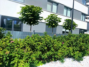 mieszkanie na sprzedaż 56m2 mieszkanie Kraków, Mistrzejowice, Piastów