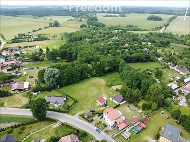 dom na sprzedaż 5600m2 dom Widzino, Główna