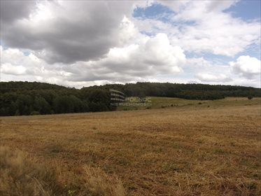 Działka rolna pod dzierżawę Płóczki Górne 800 000m2 Foto 5