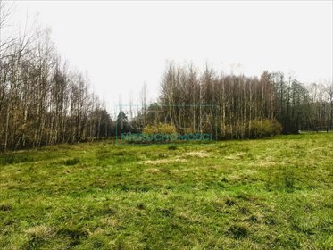 działka na sprzedaż 3000m2 działka Tartak Brzózki