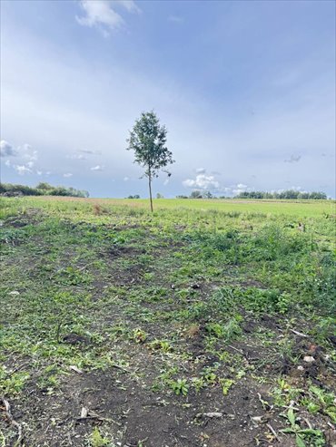 Dwie działki 1000 m² w Pokrzywnicy - WZ, cisza i natura polecam działka Pokrzywnica