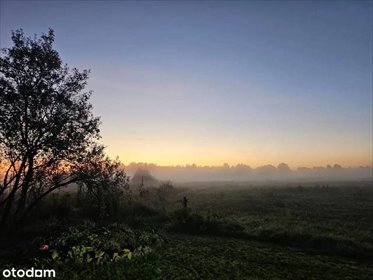 działka na sprzedaż 3200m2 działka Szczurowa, Lwowska