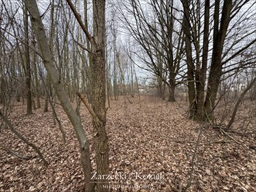 Działka budowlana na sprzedaż Milanówek, Chrzanów, Księżycowa 2 003m2 Foto 5